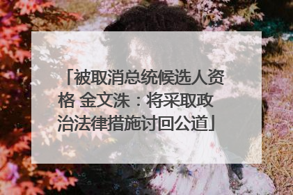 被取消总统候选人资格 金文洙：将采取政治法律措施讨回公道