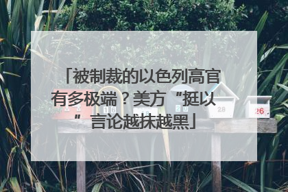 被制裁的以色列高官有多极端？美方“挺以”言论越抹越黑