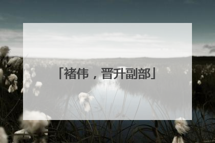 褚伟，晋升副部
