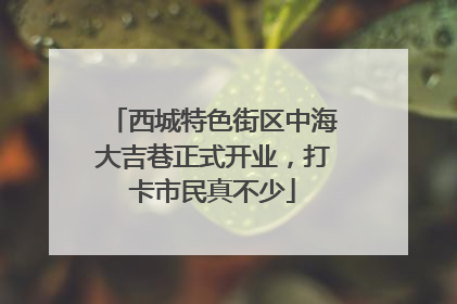 西城特色街区中海大吉巷正式开业，打卡市民真不少