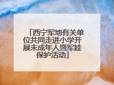 西宁军地有关单位共同走进小学开展未成年人暨军娃保护活动