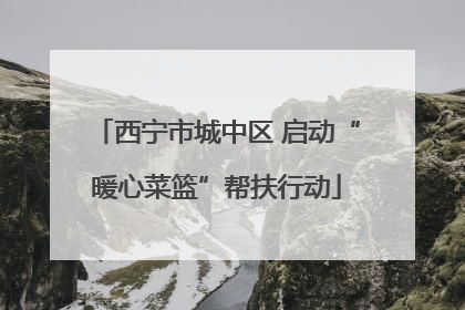 西宁市城中区 启动“暖心菜篮”帮扶行动