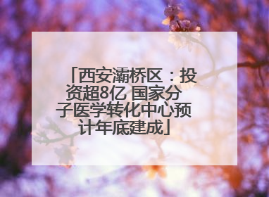 西安灞桥区：投资超8亿 国家分子医学转化中心预计年底建成