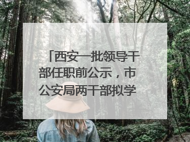 西安一批领导干部任职前公示，市公安局两干部拟学历破格提拔
