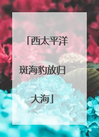 西太平洋斑海豹放归大海