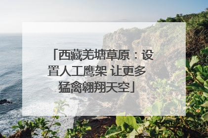 西藏羌塘草原：设置人工鹰架 让更多猛禽翱翔天空