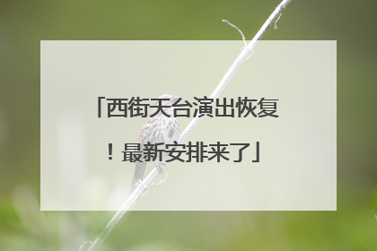 西街天台演出恢复！最新安排来了