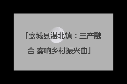 襄城县湛北镇：三产融合 奏响乡村振兴曲
