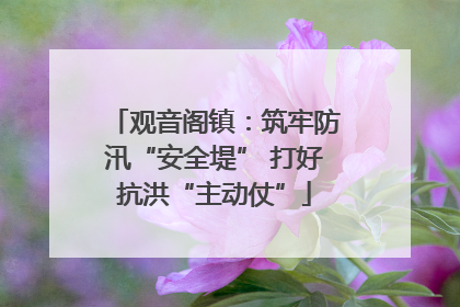 观音阁镇：筑牢防汛“安全堤” 打好抗洪“主动仗”