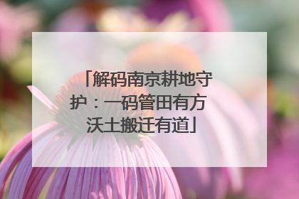 解码南京耕地守护：一码管田有方 沃土搬迁有道