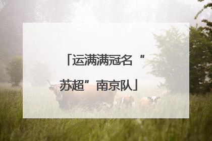 运满满冠名“苏超”南京队