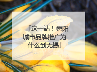 这一站！德阳城市品牌推广为什么到无锡