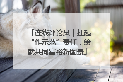 连线评论员｜扛起“作示范”责任，绘就共同富裕新图景