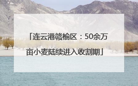 连云港赣榆区：50余万亩小麦陆续进入收割期