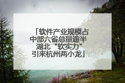 软件产业规模占中部六省总量逾半 湖北“软实力”引来杭州两小龙