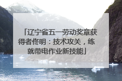 辽宁省五一劳动奖章获得者佟明：技术攻关，练就带电作业新技能