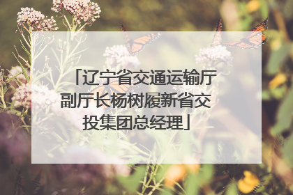 辽宁省交通运输厅副厅长杨树履新省交投集团总经理