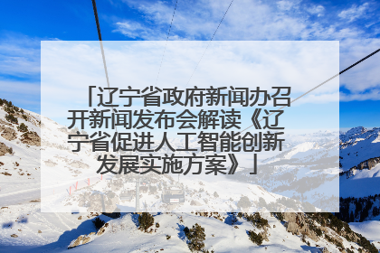 辽宁省政府新闻办召开新闻发布会解读《辽宁省促进人工智能创新发展实施方案》