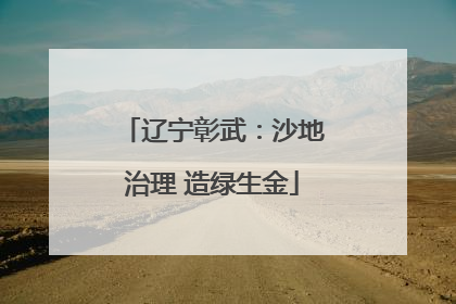 辽宁彰武：沙地治理 造绿生金