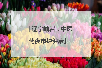 辽宁岫岩：中医药夜市护健康