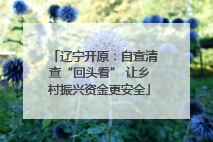 辽宁开原：自查清查“回头看” 让乡村振兴资金更安全