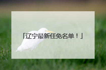 辽宁最新任免名单！