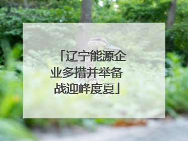辽宁能源企业多措并举备战迎峰度夏