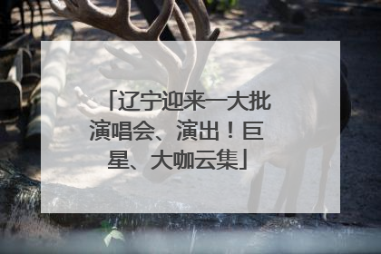 辽宁迎来一大批演唱会、演出！巨星、大咖云集
