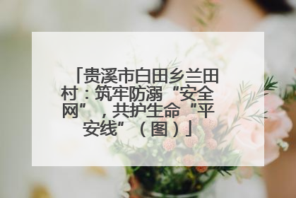 贵溪市白田乡兰田村：筑牢防溺“安全网”，共护生命“平安线”（图）