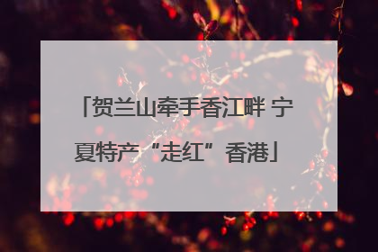 贺兰山牵手香江畔 宁夏特产“走红”香港