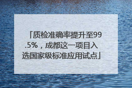 质检准确率提升至99.5%，成都这一项目入选国家级标准应用试点
