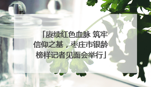 赓续红色血脉 筑牢信仰之基，枣庄市银龄榜样记者见面会举行
