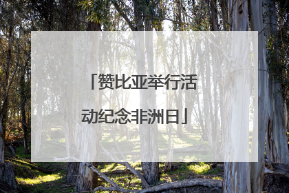 赞比亚举行活动纪念非洲日