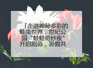 走进神秘多彩的蛙类世界，世纪公园“蛙蛙奇妙夜”开启招募，暑假共18场