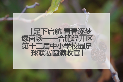足下启航 青春逐梦绿茵场——合肥经开区第十三届中小学校园足球联赛圆满收官