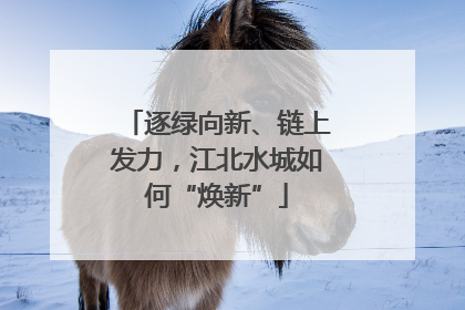 逐绿向新、链上发力，江北水城如何“焕新”