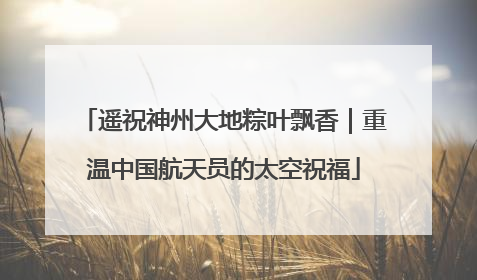 遥祝神州大地粽叶飘香｜重温中国航天员的太空祝福