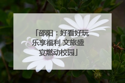 邵阳：好看好玩乐享福利 文旅盛宴燃动校园