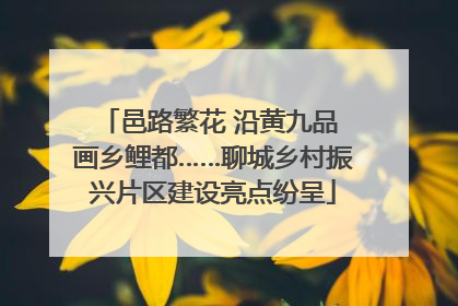 邑路繁花 沿黄九品 画乡鲤都……聊城乡村振兴片区建设亮点纷呈