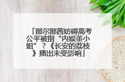 那尔那茜妨碍高考公平被指“内娱董小姐”？《长安的荔枝》播出未受影响