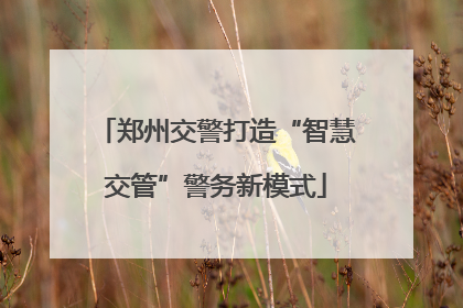 郑州交警打造“智慧交管”警务新模式