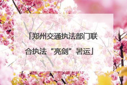 郑州交通执法部门联合执法“亮剑”暑运