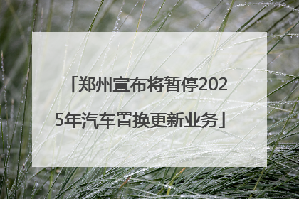 郑州宣布将暂停2025年汽车置换更新业务