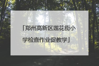 郑州高新区莲花街小学检查作业促教学