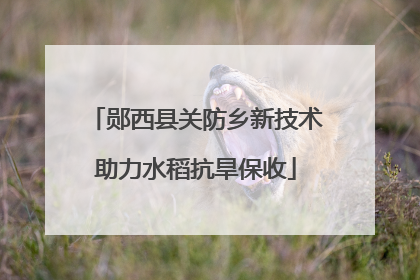 郧西县关防乡新技术助力水稻抗旱保收