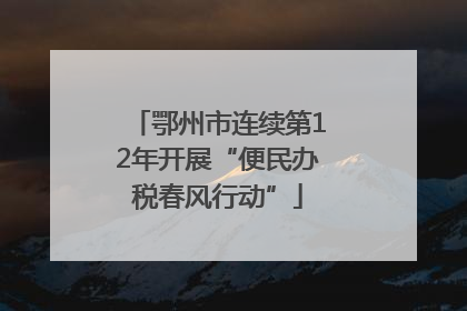 鄂州市连续第12年开展“便民办税春风行动”