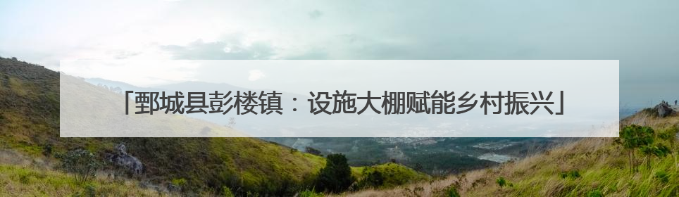 鄄城县彭楼镇：设施大棚赋能乡村振兴