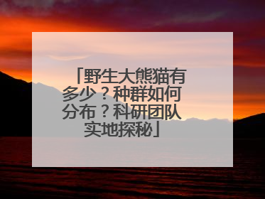 野生大熊猫有多少？种群如何分布？科研团队实地探秘