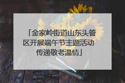 金家岭街道山东头管区开展端午节主题活动 传递敬老温情