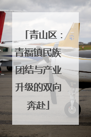 青山区：青福镇民族团结与产业升级的双向奔赴